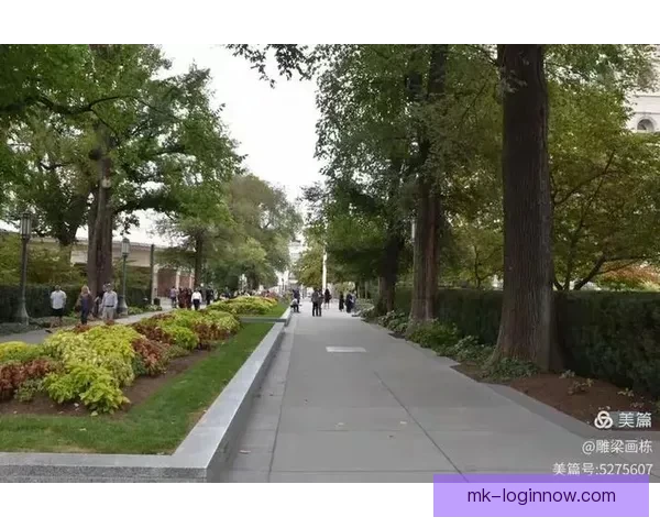 美加墨世界杯举办城市精彩纷呈全景解析与旅游攻略指南